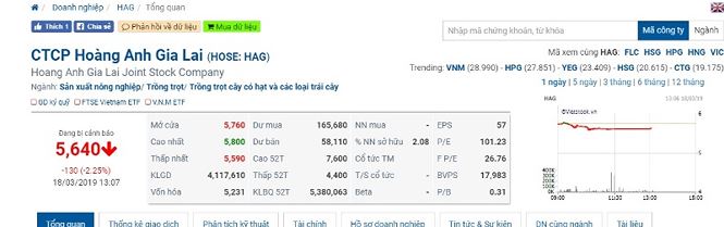 Hoàng Anh Gia Lai bị phạt, truy thu thuế gần 11 tỷ đồng