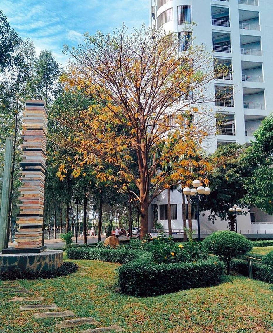 Thư viện nghìn tỷ trường con nhà giàu ĐH Tôn Đức Thắng đang được dân tình ầm ầm kéo đến check in vì đẹp không góc chết