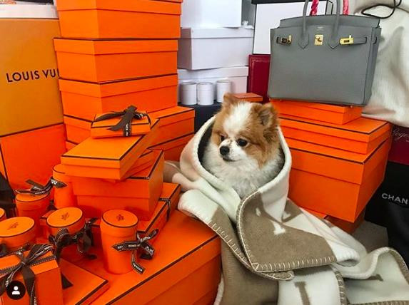 Cô gái khiến Lâm Tây bay từ Thái Lan về dự đám cưới là ai?