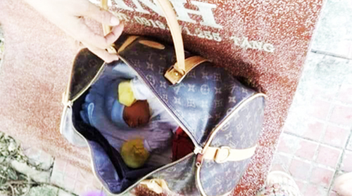 Nữ chủ tịch phường ở Cà Mau bị đòi lại con gái nuôi