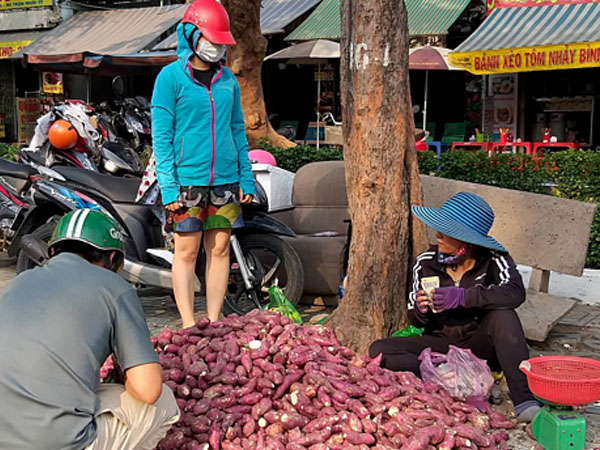Khoai lang Nhật giá rẻ bán đầy vỉa hè Sài Gòn