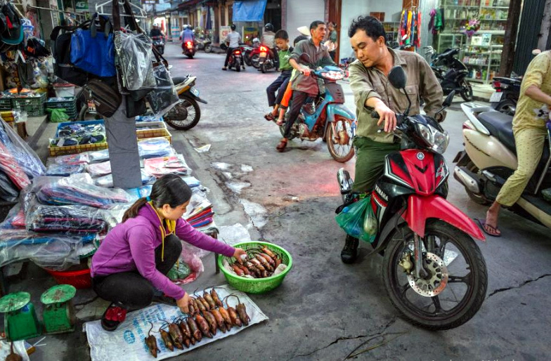 Thịt chuột Việt Nam ngon như phomai que: Tây liều thử rồi mê ngay