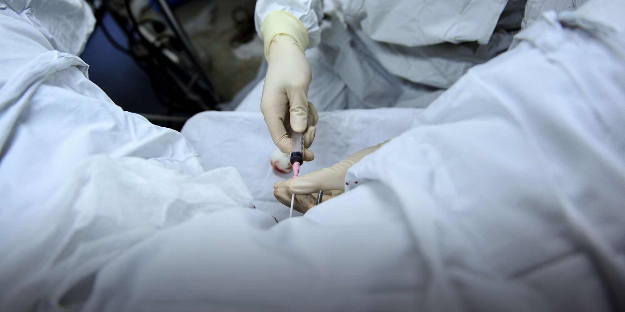 Nữ sinh đại học kể chuyện 2 lần bán trứng cho chợ đen, nhận về hơn 200 triệu đồng