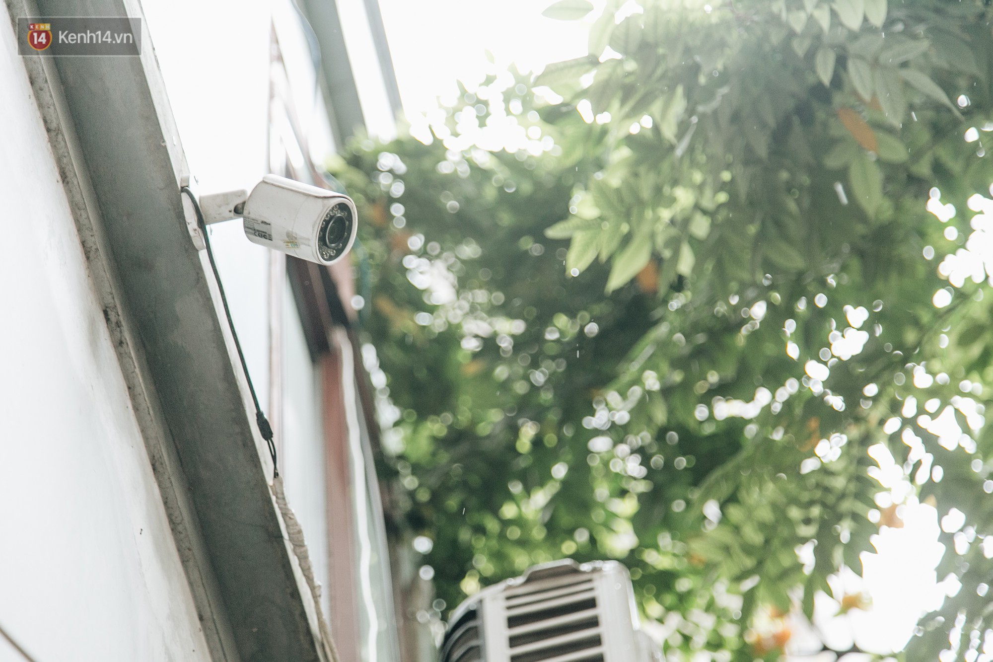 Hình ảnh người xả rác bừa bãi bị dán chi chít trong khu phố ở Hà Nội: Cấm mãi không được chúng tôi mới làm như vậy