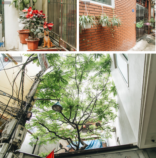 Hình ảnh người xả rác bừa bãi bị dán chi chít trong khu phố ở Hà Nội: Cấm mãi không được chúng tôi mới làm như vậy