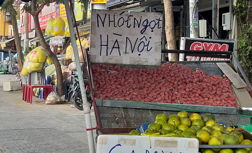 Giá cao gấp 8 lần, nhót Hà Nội đổ vào Nam