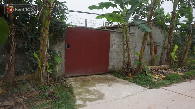 Dịch tả lợn nhốt người chăn nuôi trong những chiếc cũi trống không: Nhìn ra khu chuồng giăng mạng nhện, phủ vôi trắng là tôi lại khóc