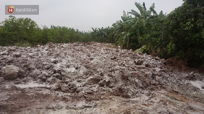 Dịch tả lợn nhốt người chăn nuôi trong những chiếc cũi trống không: Nhìn ra khu chuồng giăng mạng nhện, phủ vôi trắng là tôi lại khóc