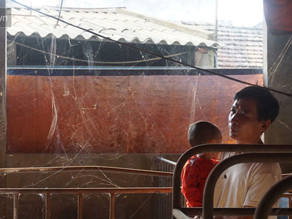 Dịch tả lợn nhốt người chăn nuôi trong những chiếc cũi trống không: Nhìn ra khu chuồng giăng mạng nhện, phủ vôi trắng là tôi lại khóc