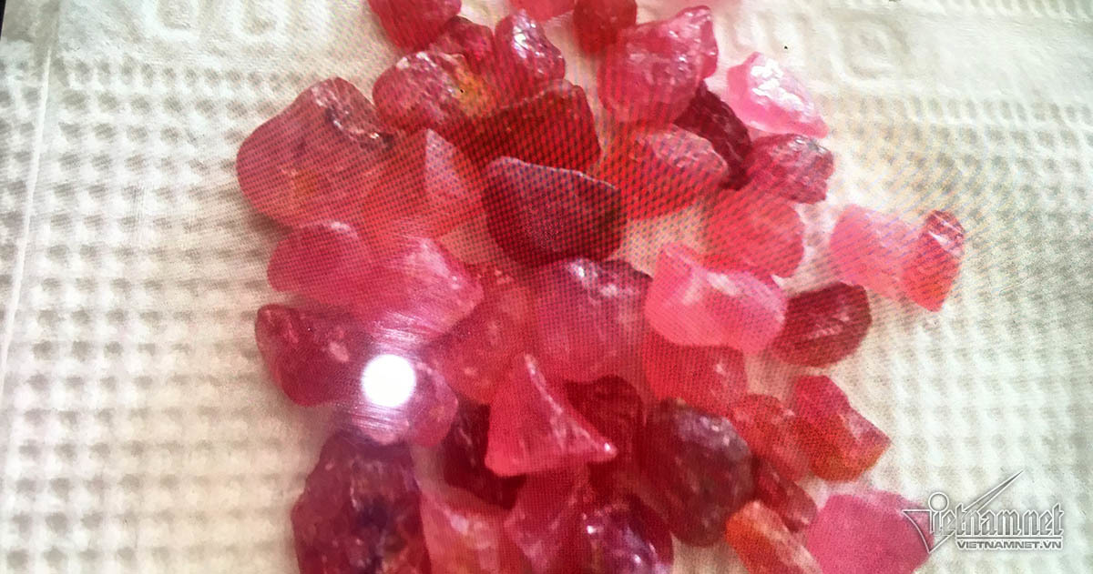 Đại gia đá đỏ đếm tiền cả ngày không hết giờ ra sao?