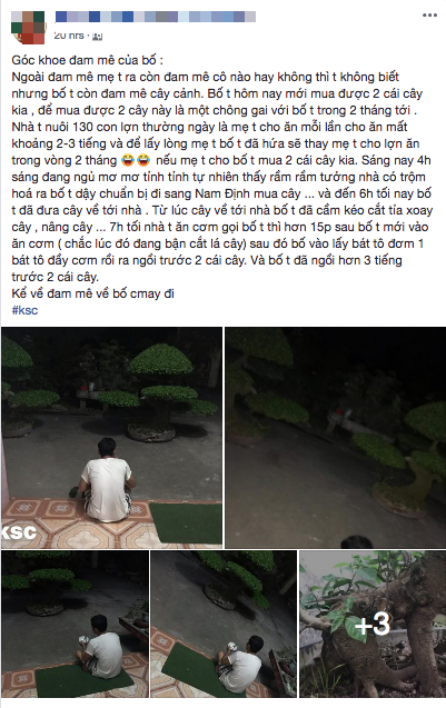 Con trai hài hước kể chuyện bố hứa thay mẹ chăm 130 con lợn trong 2 tháng để được mua đôi cây cảnh 40 triệu