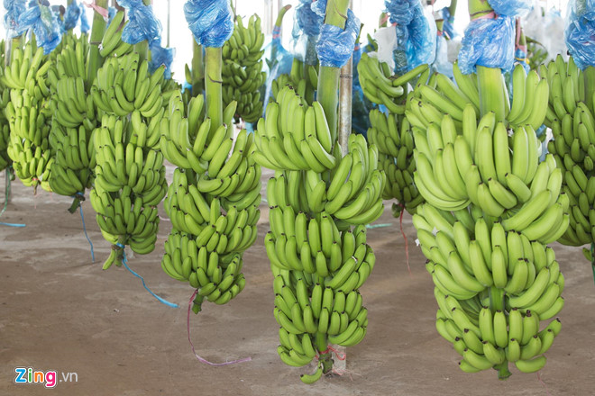 Thaco mở rộng ‘tiếp sức’ bầu Đức sau vụ hợp tác 20.000 tỷ