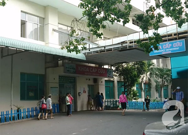 Nữ bệnh nhân bị nhồi máu cơ tim cấp do ong đốt và khuyến cáo của bác sĩ cho người trẻ tuổi Nữ bệnh nhân bị nhồi máu cơ tim cấp do ong đốt và khuyến cáo của bác sĩ cho người trẻ tuổi