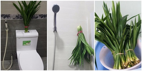 8 bí kíp khử mùi hôi nhà vệ sinh không cần hóa chất cực nhanh và an toàn với con người