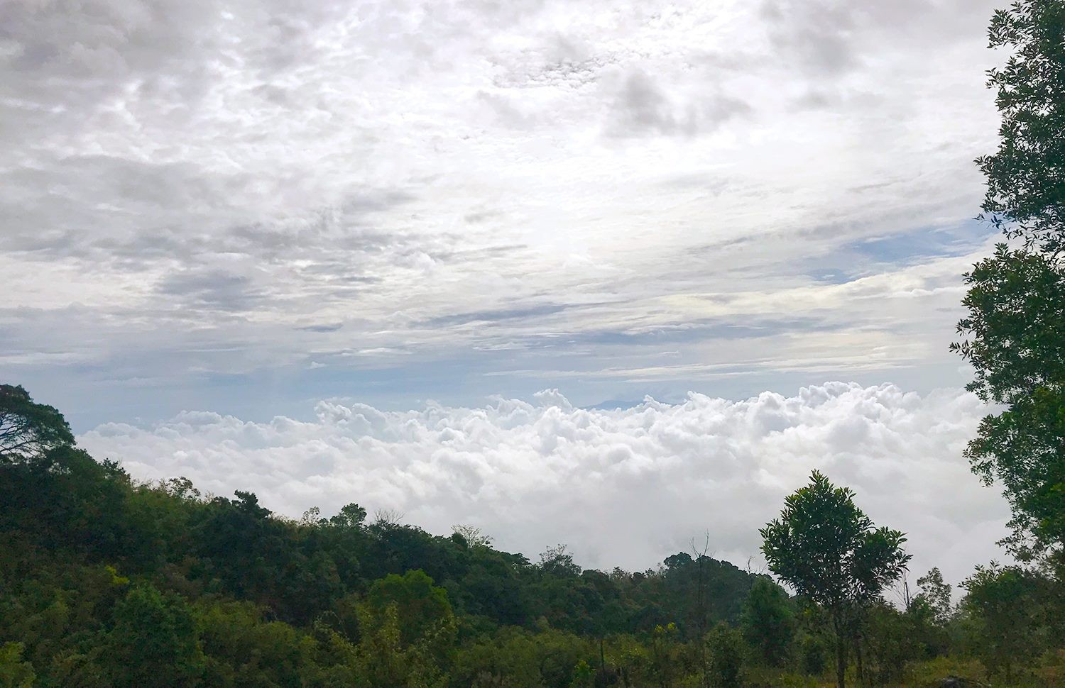 Hành trình sinh tồn 3 ngày 2 đêm của thanh niên bị lạc khi đi dọn rác trên núi Chứa Chan