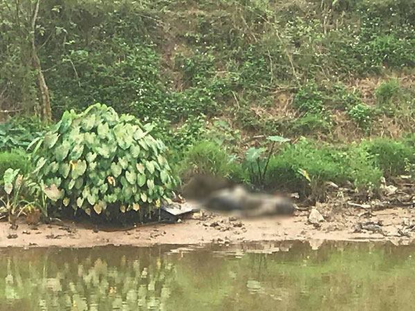 Hà Nội: Phát hiện thi thể đang phân hủy trên sông Nhuệ