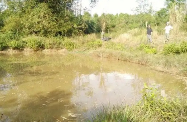 Hai học sinh đuối nước thương tâm dưới hồ tưới cà phê