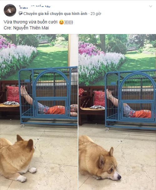 Sự tích đi ăn cỗ về mất chỗ của boss: Cư dân mạng thương lắm nhưng không làm gì được