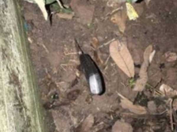 Nam Định: Anh ruột đâm chết em trai sau bữa cúng họ