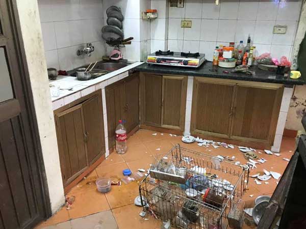Nhìn căn bếp như hiện trường một vụ đánh nhau kinh hoàng, mẹ trẻ ngẩn ngơ khi phát hiện ra thủ phạm