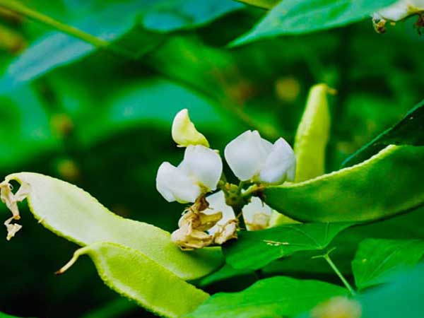 Cú sốc cô gái trẻ sau khi qua đêm cùng đại gia trong khách sạn