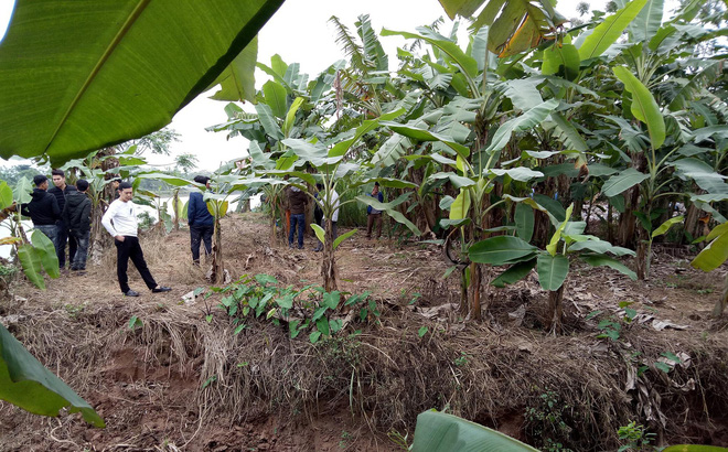 Phát hiện 3 thi thể nam giới nổi trên sông Hoá