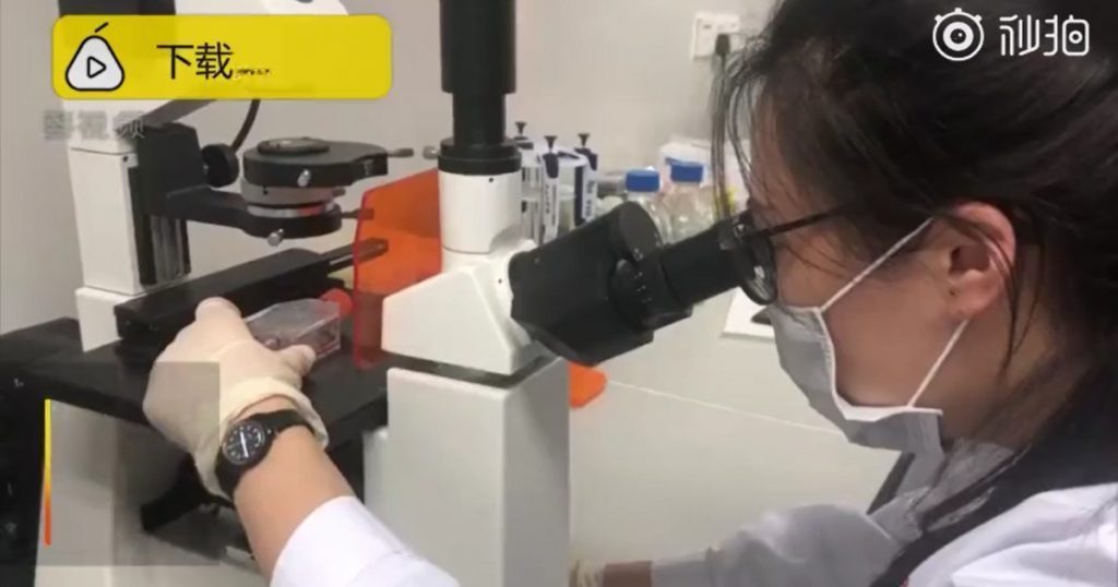 Lý do bệnh viện Trung Quốc mua phân người giá tiền triệu Lý do bệnh viện Trung Quốc mua phân người giá tiền triệu