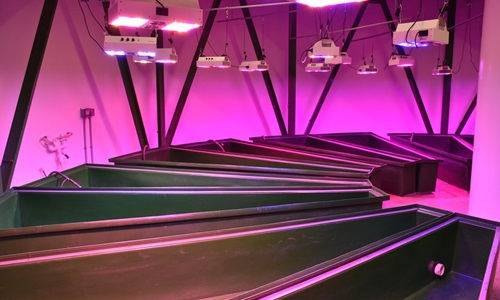 Hầm trú ẩn ngày tận thế 3 triệu USD của nhà giàu Mỹ