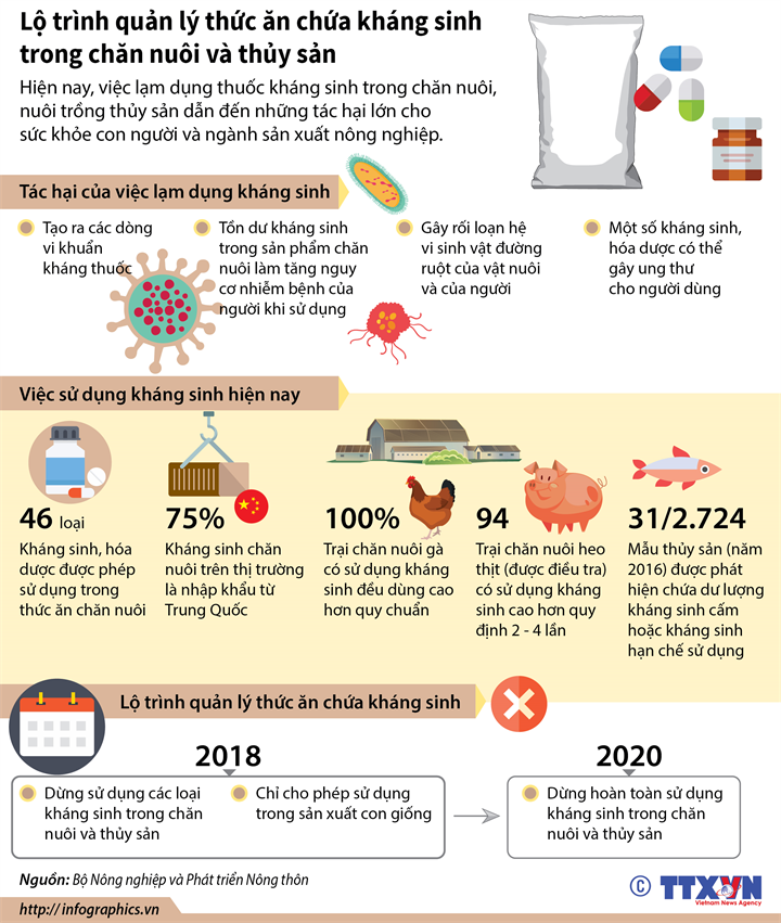 Con số đáng ngại: Lợn, gà ngốn hơn 1.000 tấn kháng sinh/năm