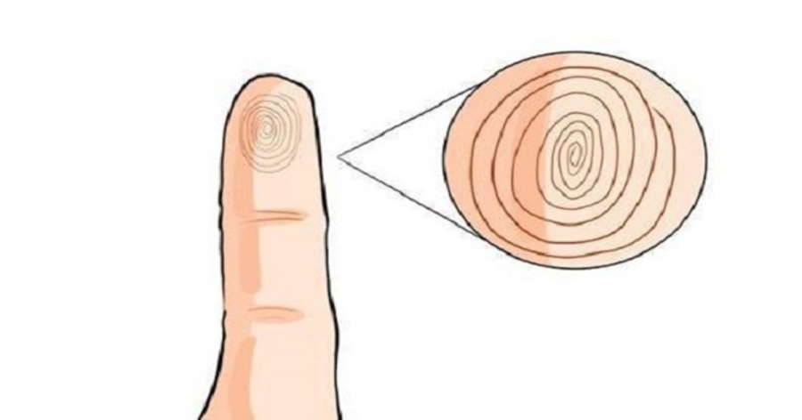 Giơ ngón út lên và quan sát 3 giây, biết ngay về già sướng hay khổ, hôn nhân viên mãn hay trái ngang