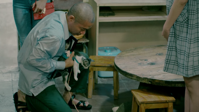 Sốc với kết thúc bi thảm của phim Những cô gái trong thành phố