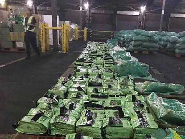 Đường dây ma túy khủng từ Tam Giác Vàng qua Việt Nam bị triệt phá như thế nào?