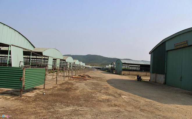 Con trai ông Trần Bắc Hà bị khởi tố