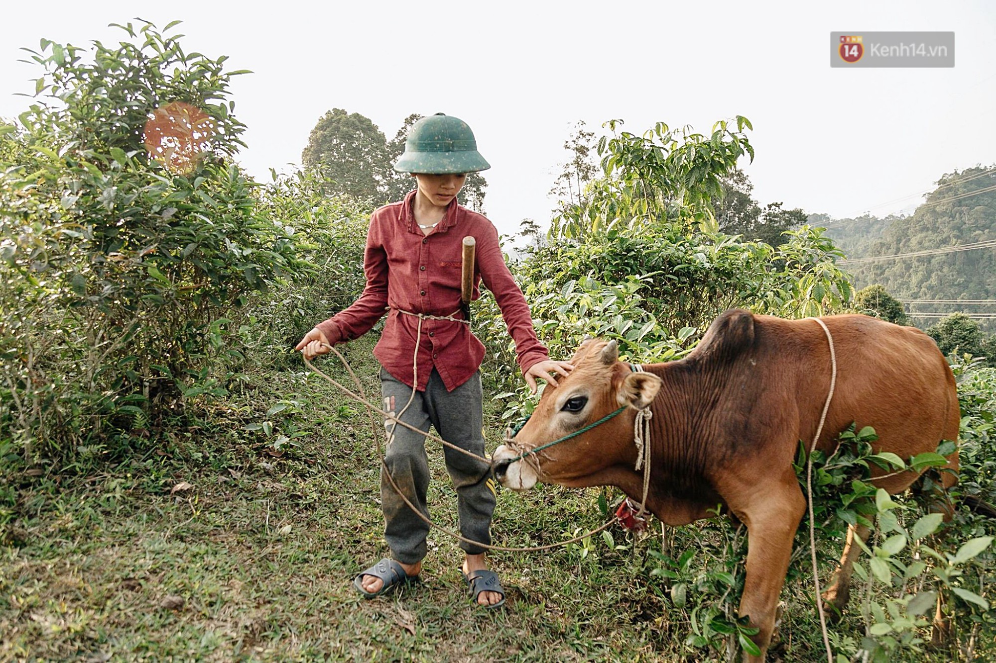 Được tặng thêm một chiếc xe đạp mới sau câu chuyện vượt 100km thăm em, cậu bé 13 tuổi nhường lại cho bạn khó khăn hơn