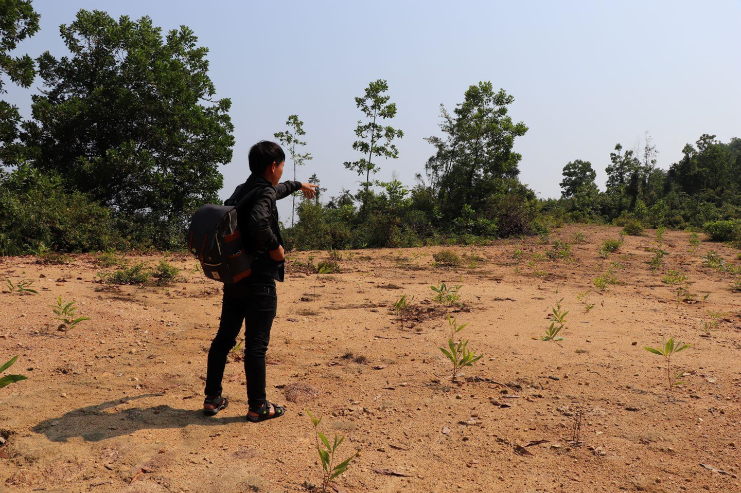 Vốn 1 tỷ, Ba Vàng Quảng Nam từng dự tính xây khu tâm linh 1.000 tỷ