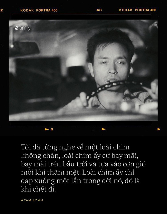 16 năm ngày mất Trương Quốc Vinh: Chuyện về một loài chim không chân, chỉ đáp xuống đất một lần khi chết