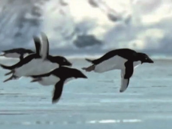 Top 3 cú lừa siêu đỉnh trong ngày Cá Tháng Tư