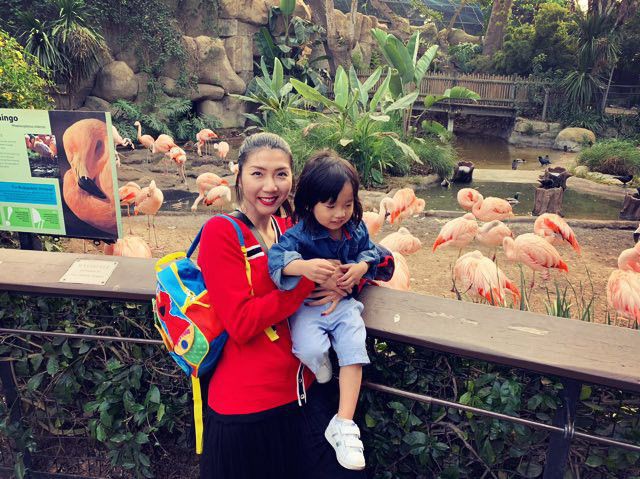 Cuộc sống của sao Việt ở Mỹ: Người bán quần áo, người sống trong nhà di động dành cho người nghèo