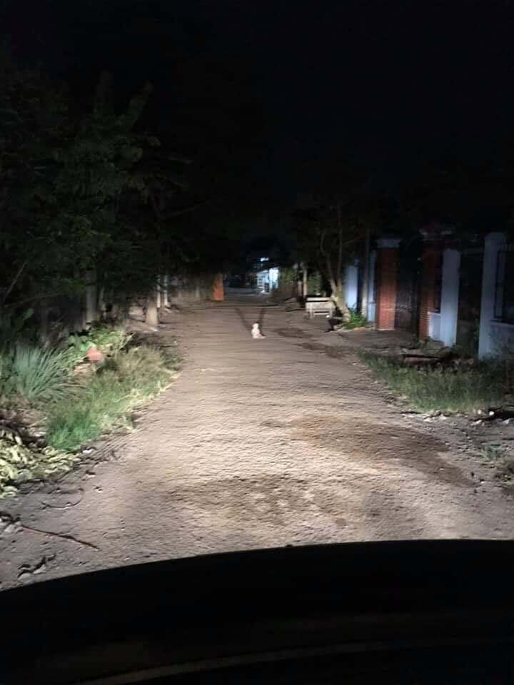 Lái xe đi đêm gặp em bé khóc giữa đường, cộng đồng mạng đồng loạt can ngăn: Đừng giúp!