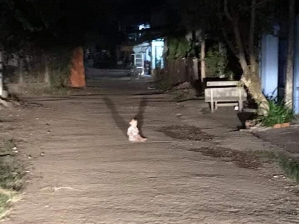 Lái xe đi đêm gặp em bé khóc giữa đường, cộng đồng mạng đồng loạt can ngăn: Đừng giúp!