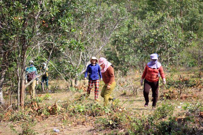 Vì sao sòng bạc đại ca giang hồ Tây Nguyên giờ mới bị triệt phá?