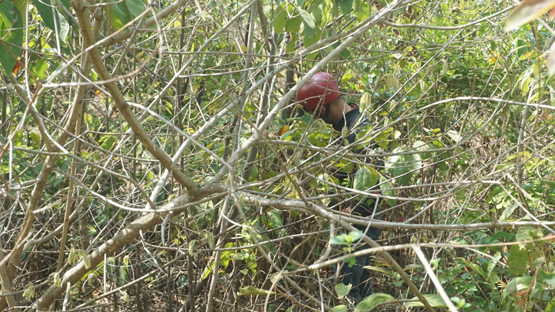 Dân nườm nượp tìm tiền, vàng sau vụ bắt sòng bạc khủng ở Gia Lai