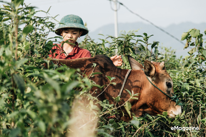 Lên bản Bống Hà gặp cậu bé đạp xe 100km thăm em: Vì vạn sự đều có bắt đầu và kết thúc, chỉ có anh em mình luôn luôn bên nhau
