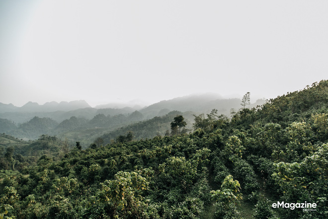 Lên bản Bống Hà gặp cậu bé đạp xe 100km thăm em: Vì vạn sự đều có bắt đầu và kết thúc, chỉ có anh em mình luôn luôn bên nhau