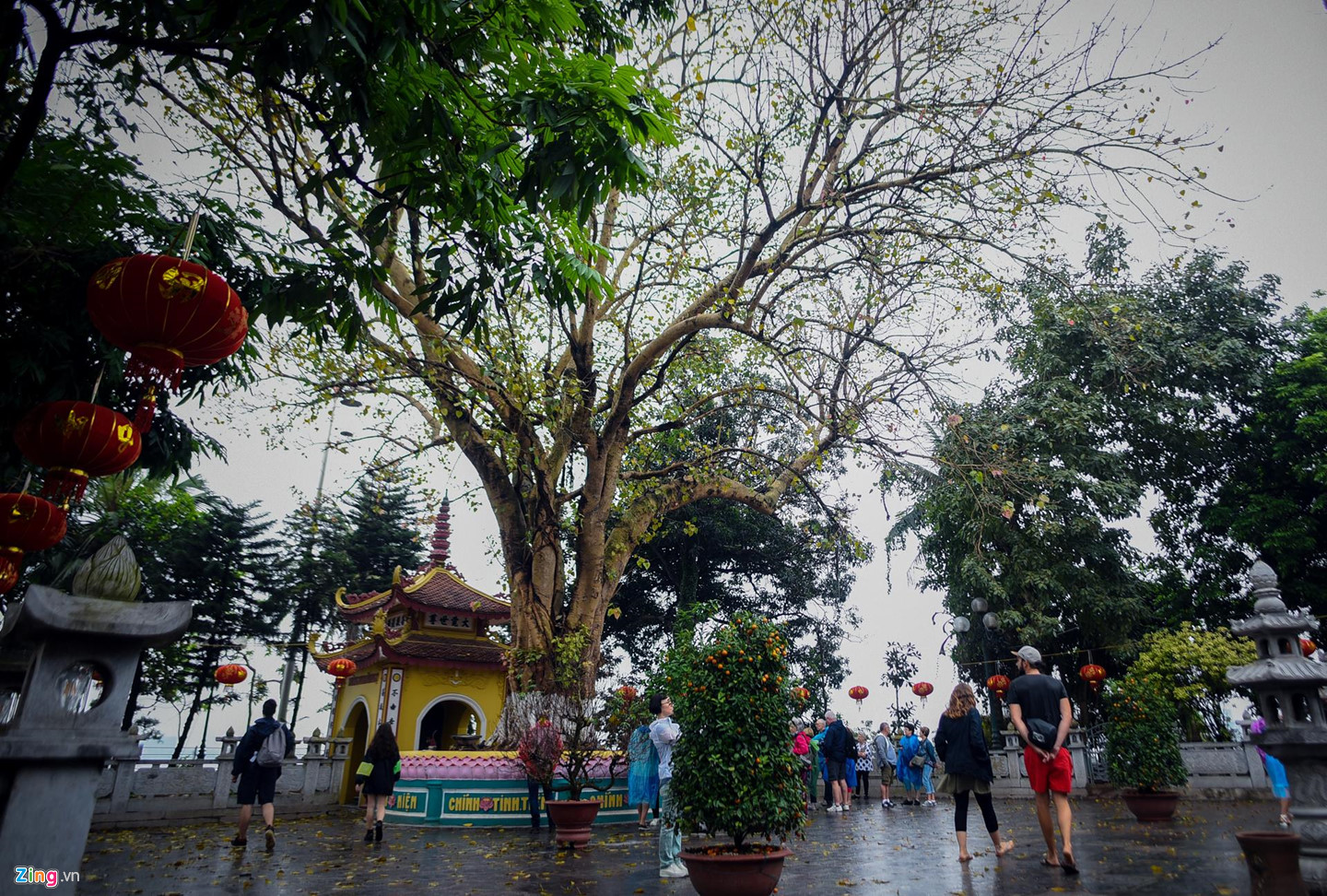 Cận cảnh ngôi chùa ở Hà Nội vào top 10 chùa đẹp nhất thế giới