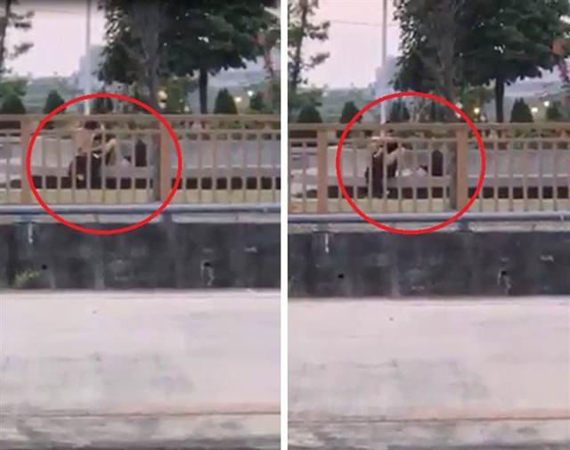 Cặp đôi vô tư ân ái trên vỉa hè, dùng tấm áo mỏng che phần dưới vẫn bị lên án