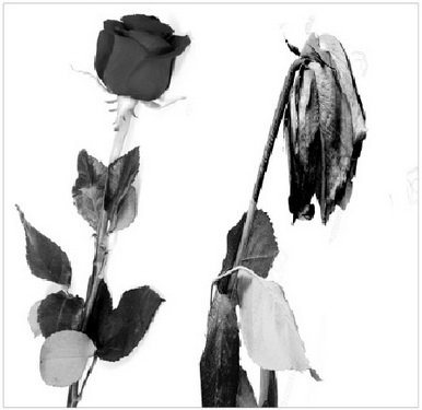 Thường xuyên nghĩ đến chuyện ấy có phải là bệnh?