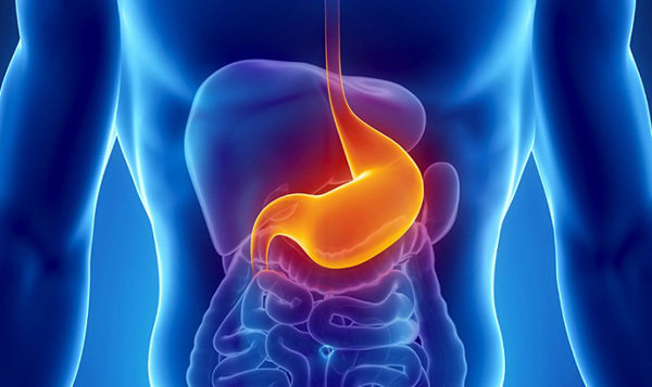 Điểm danh 7 cơ quan nội tạng dù mất đi bạn vẫn có thể sống khỏe mạnh