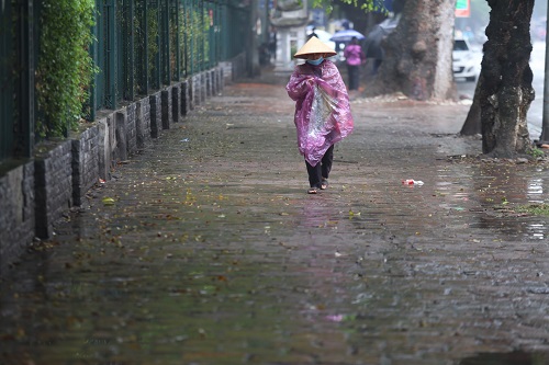 Gần 300 tuyến phố ở Hà Nội sẽ cải tạo vỉa hè