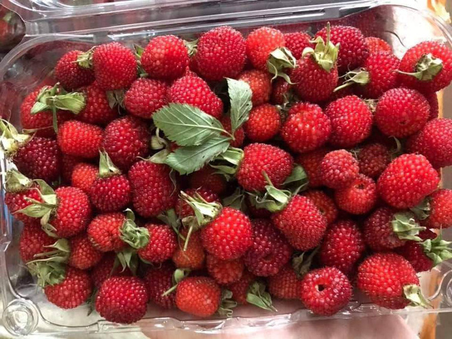 Loại quả thần dược tráng dương được bán với giá rẻ không ngờ